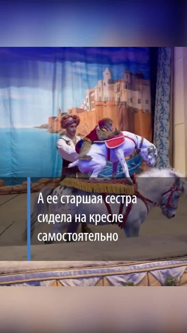 Loading video