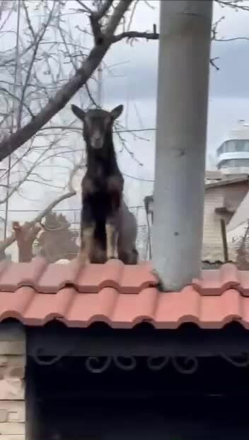 Loading video
