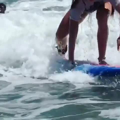 Loading video