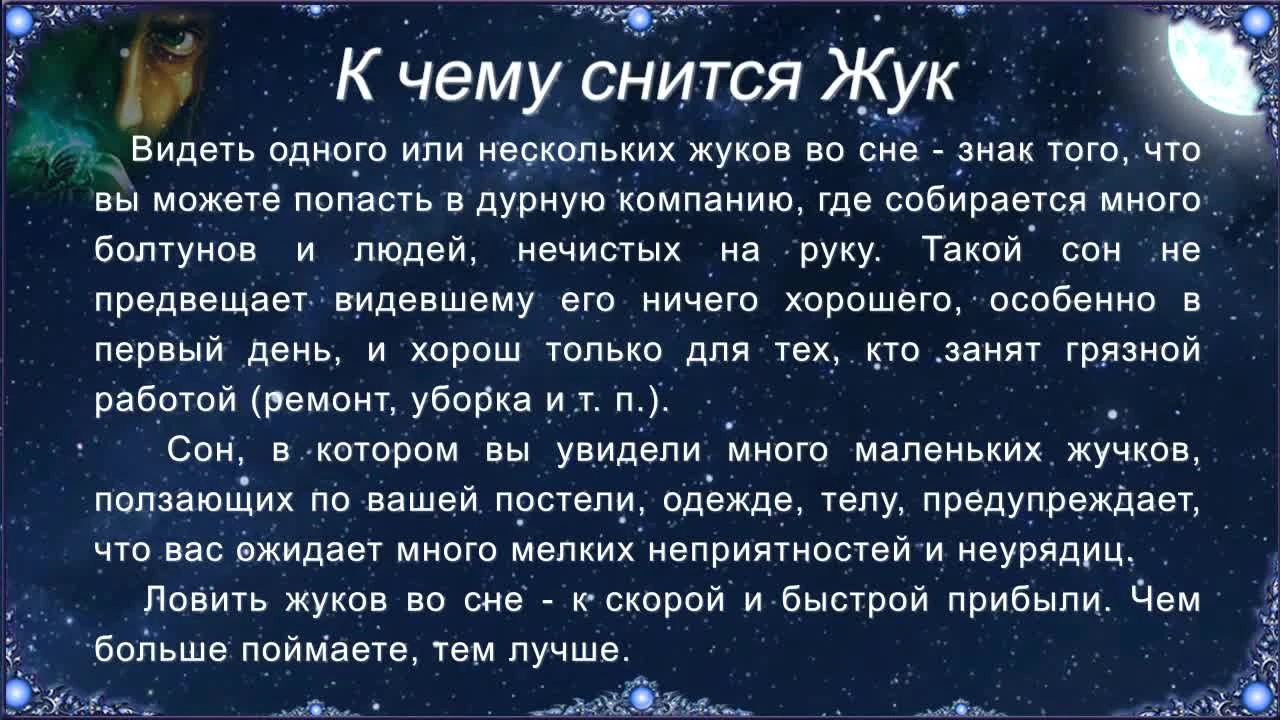 К чему снятся жуки во сне - толкование: сонник для мужчин и женщин ::  Гороскоп :: Клео.ру