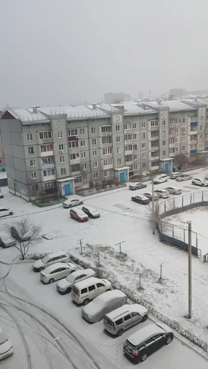 Видео того, как пьяный водитель ездил по двору в Чите - 27 ноября 2023 -  ЧИТА.ру