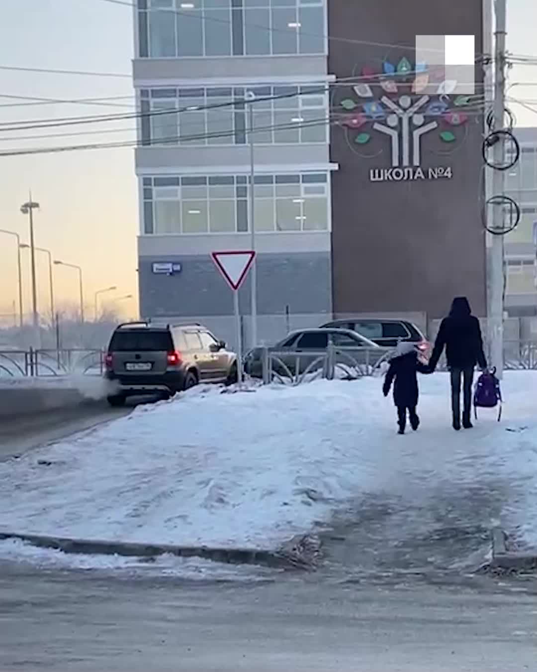 В Арамиле сняли на видео верблюда с двумя овечками, которые шли в школу