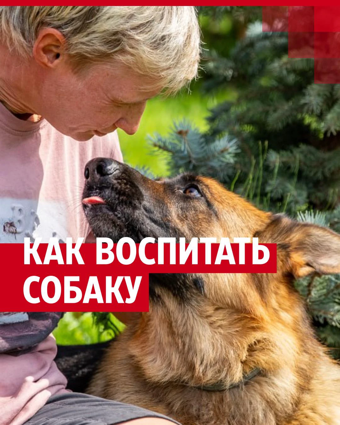 Собака скулит и воет, когда остается одна