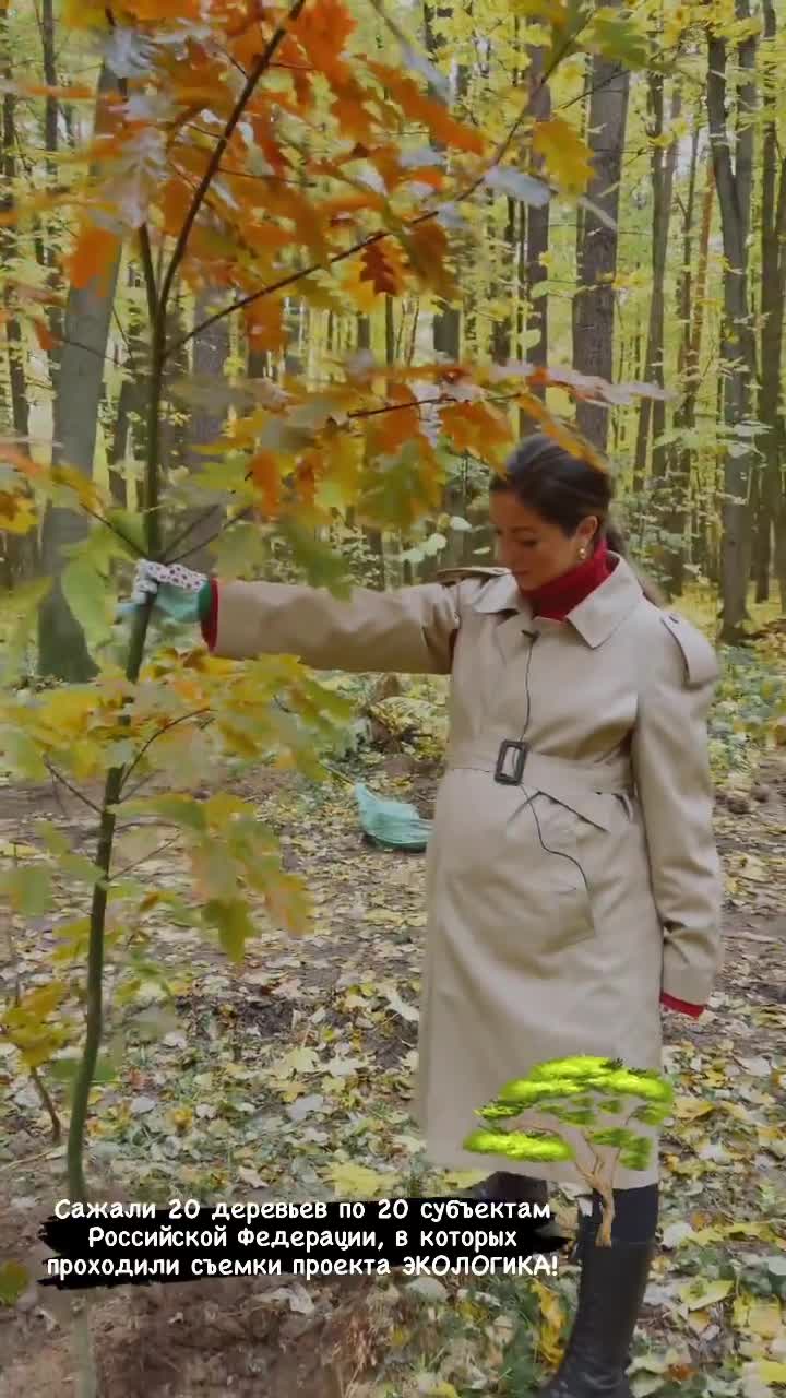 Беременная Нюша посадила дерево в лесу: видео