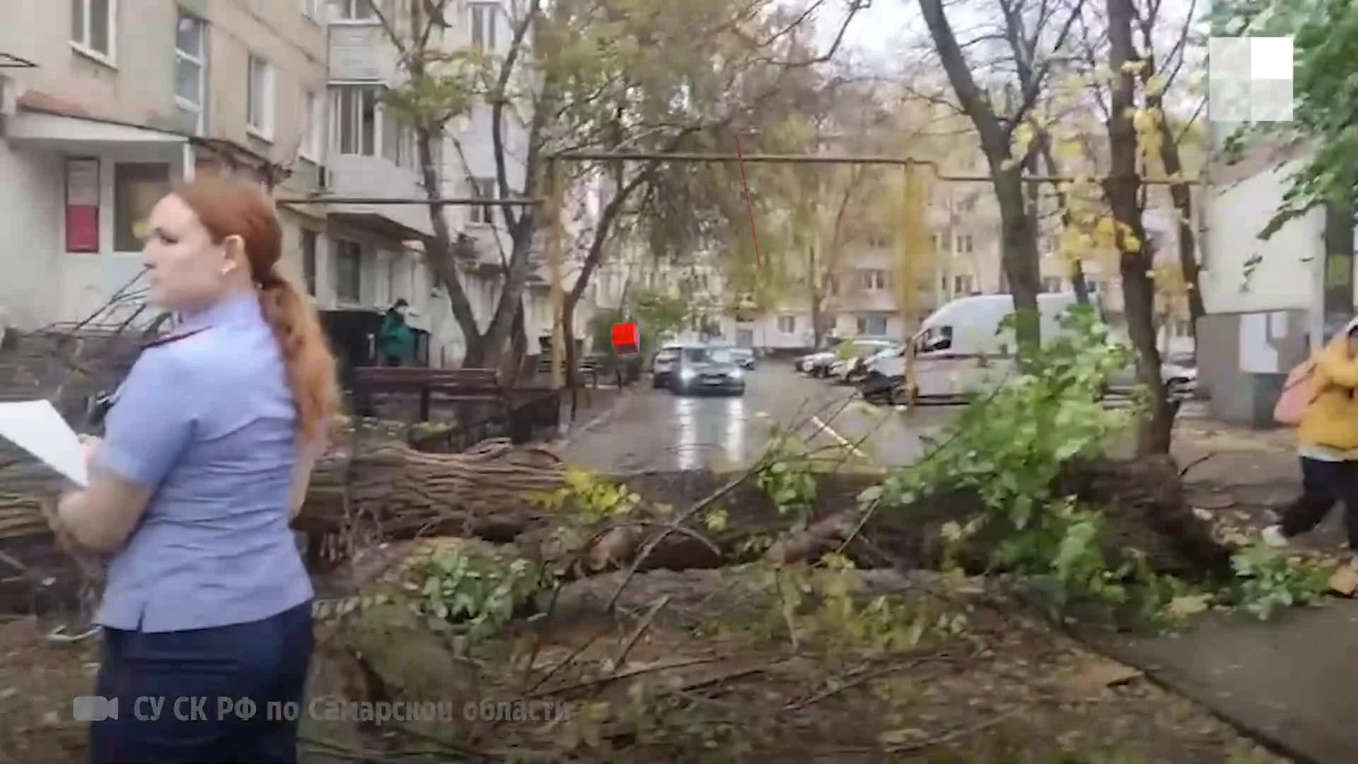 В Самарской области упавшее дерево задавило человека насмерть - 17 октября  2023 - 63.ру