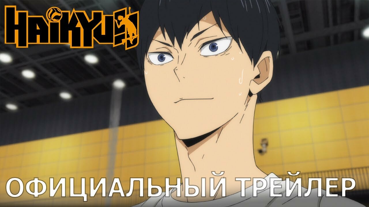 Аниме дня: «Волейбол!!» — крутейший спортивный тайтл про волю к победе 🏐 |  theGirl