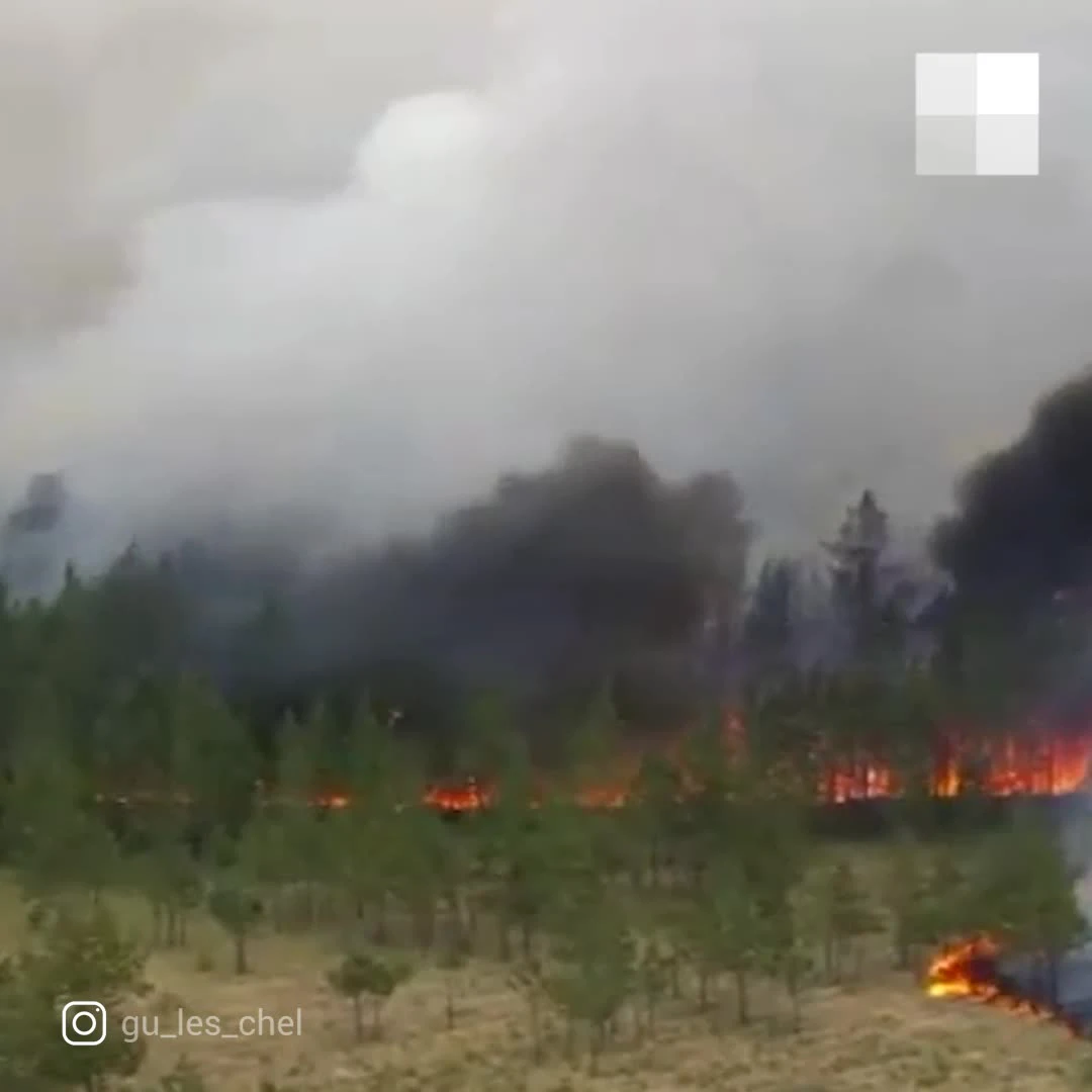 В трех районах Челябинской области бушуют лесные пожары, горят поселки,  людей эвакуируют: онлайн-трансляция, 9 и 10 июля 2021 г. - 9 июля 2021 -  74.ру