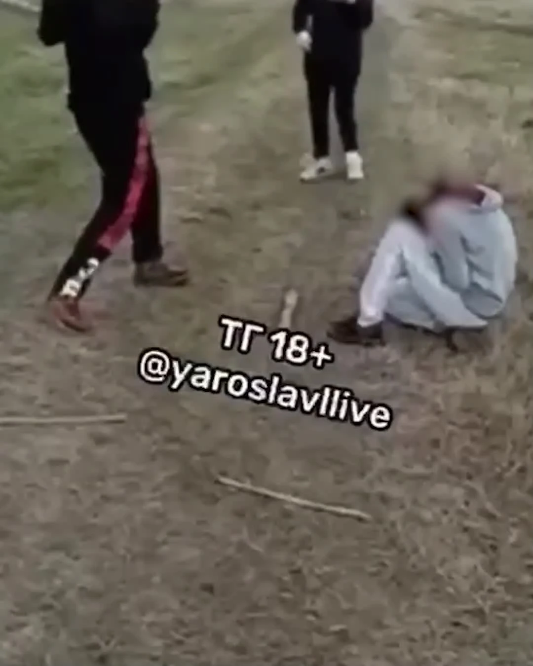 В Брагино в Ярославле школьники избили девочку палкой по голове 23 апреля  2022 - 25 апреля 2023 - 76.ru