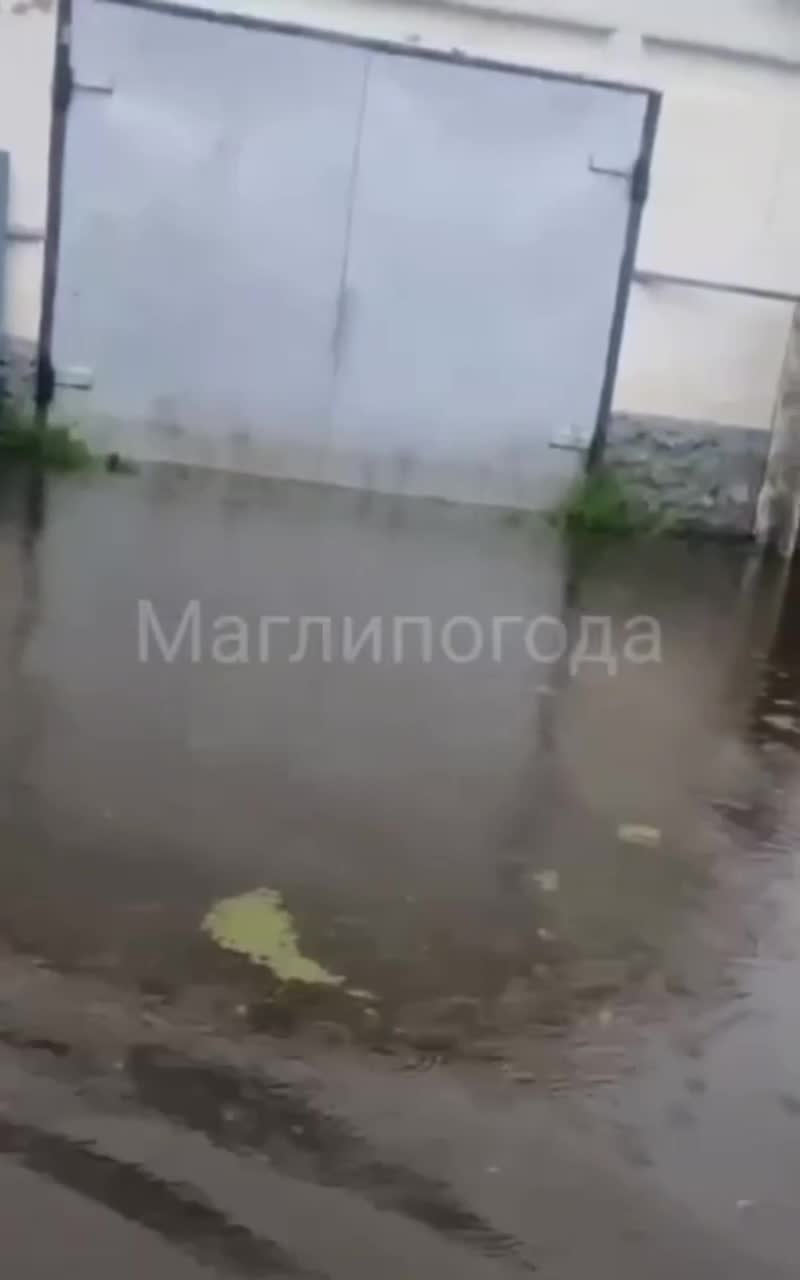 Вода топит дома и хозяйства в Приморье: посмотрите, как тонет Дальнереченск  - 24 июня 2024 - ВЛАДИВОСТОК1.ру