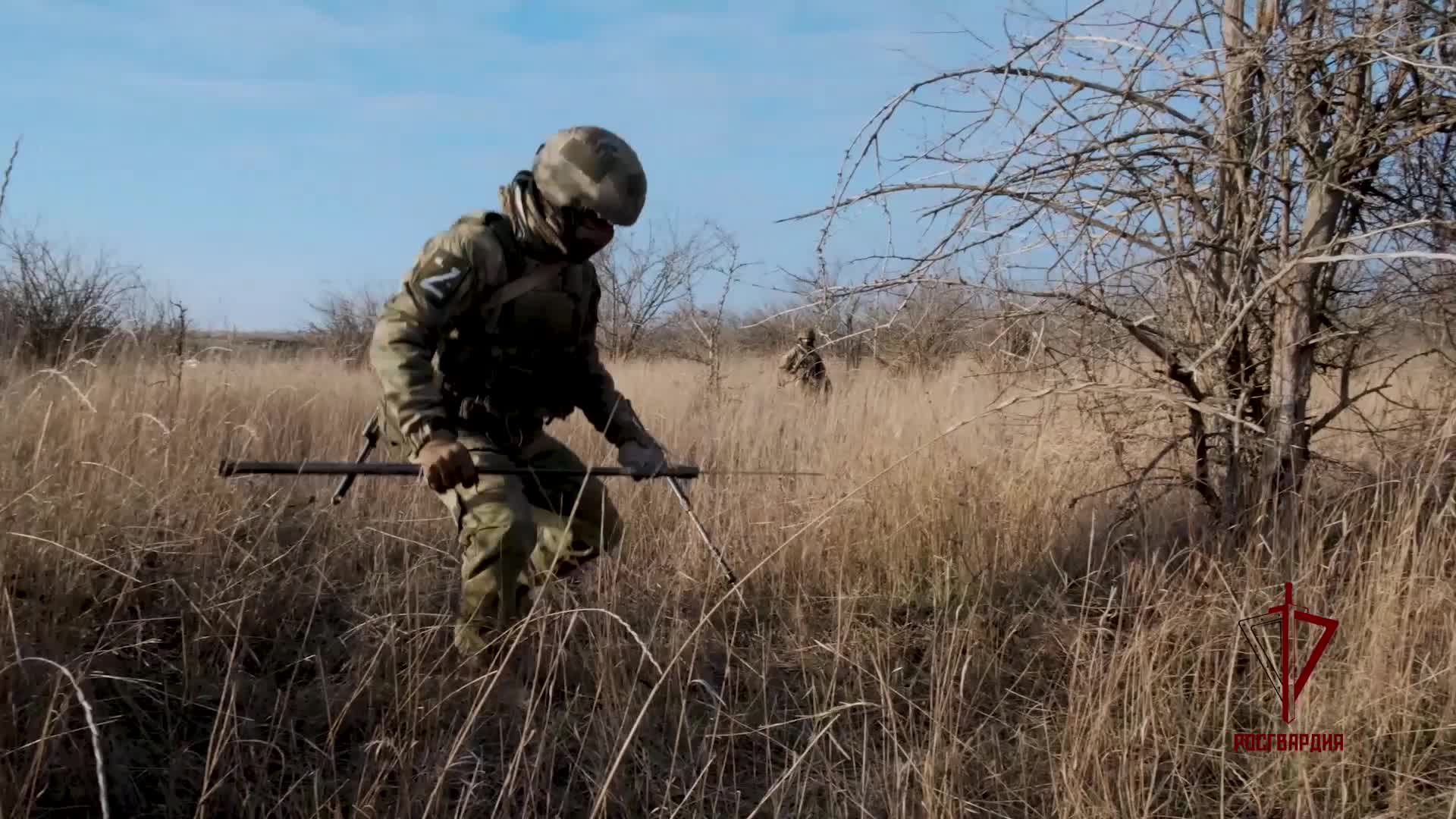 Девушка-кинолог из Росгвардии нашла тайники с боеприпасами в зоне СВО – ОСН