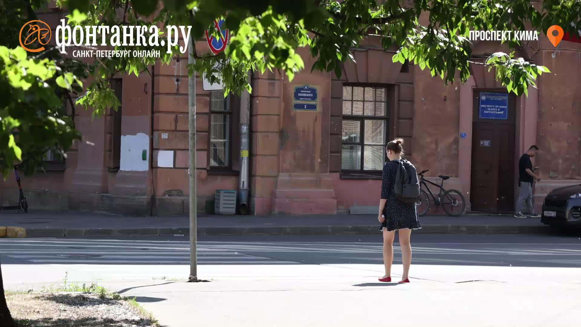 Тополиный пух и аллергия: откуда взялось столько тополиного пуха в этом  году - 19 июня 2023 - ФОНТАНКА.ру