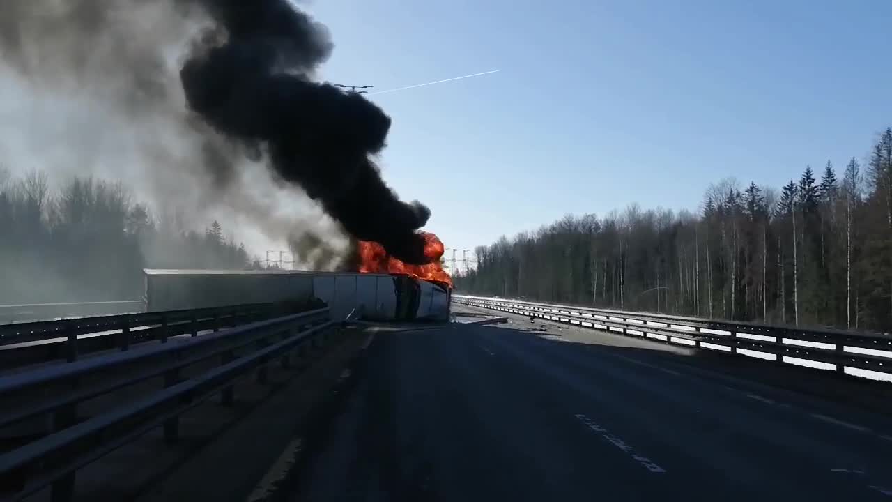 Угнавший чужой «Форд» сотрудник петербургского автосервиса оказался  незаконным мигрантом — Мегаполис