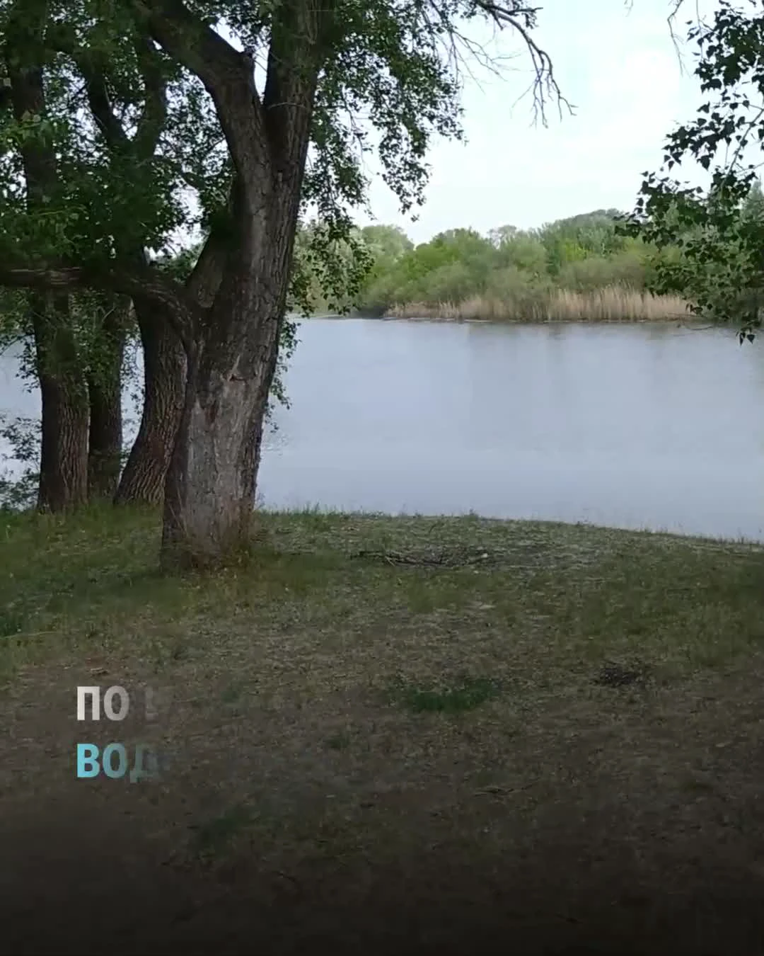 Свалка рядом с СНТ «Корвет» в Кургане находится в водоохранной зоне реки  Тобол - 14 июня 2023 - 45.ру