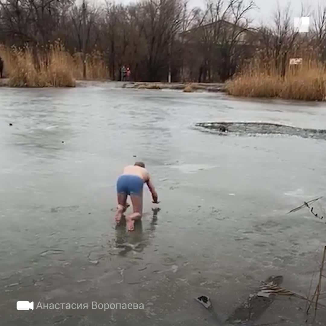 Сегодня, 11 февраля, очевидцы сняли на видео спасение собаки из ледяной  полыньи в Волгограде - 11 февраля 2021 - V1.ру