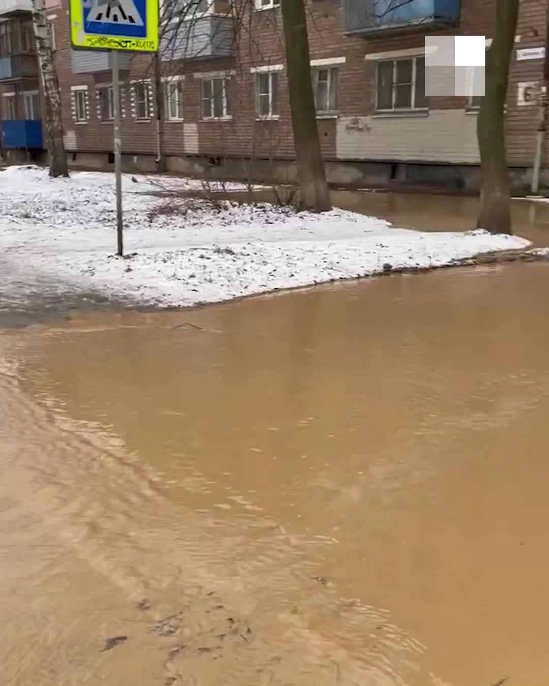 В Ярославле затопило улицу Щапова, вода с грязью течет к Дворцу культуры.  Видео - 17 ноября 2021 - 76.ру