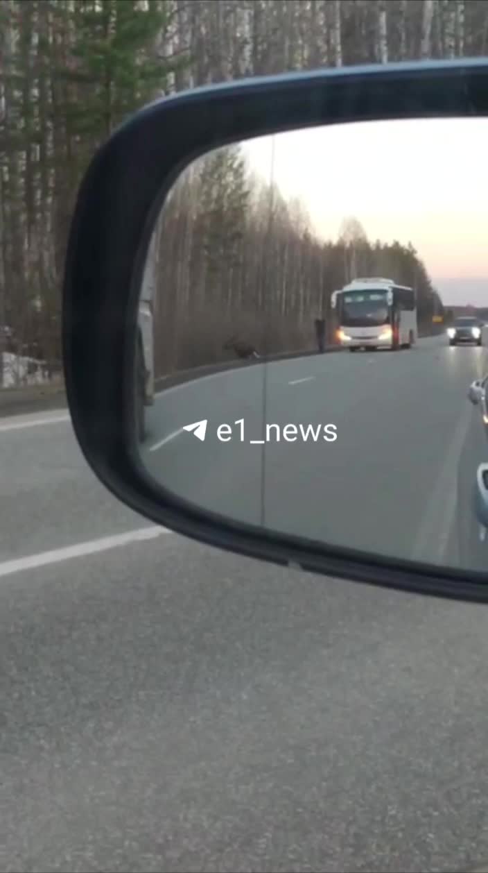 Телефонмен сөйлесіп жатқанда блять