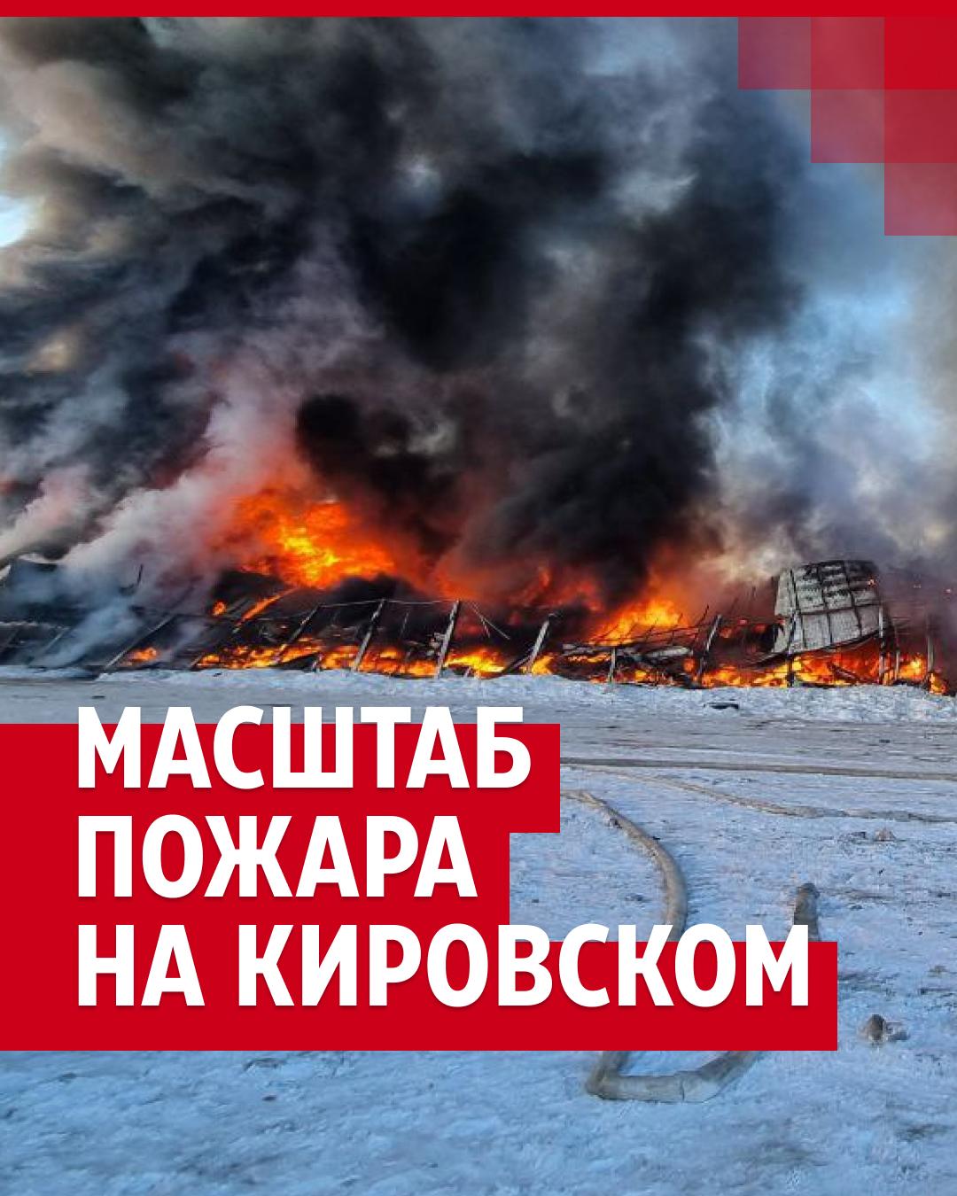 «Она хотела мне рот порвать». Женщины подрались в раздевалке фитнес-клуба на Туристской