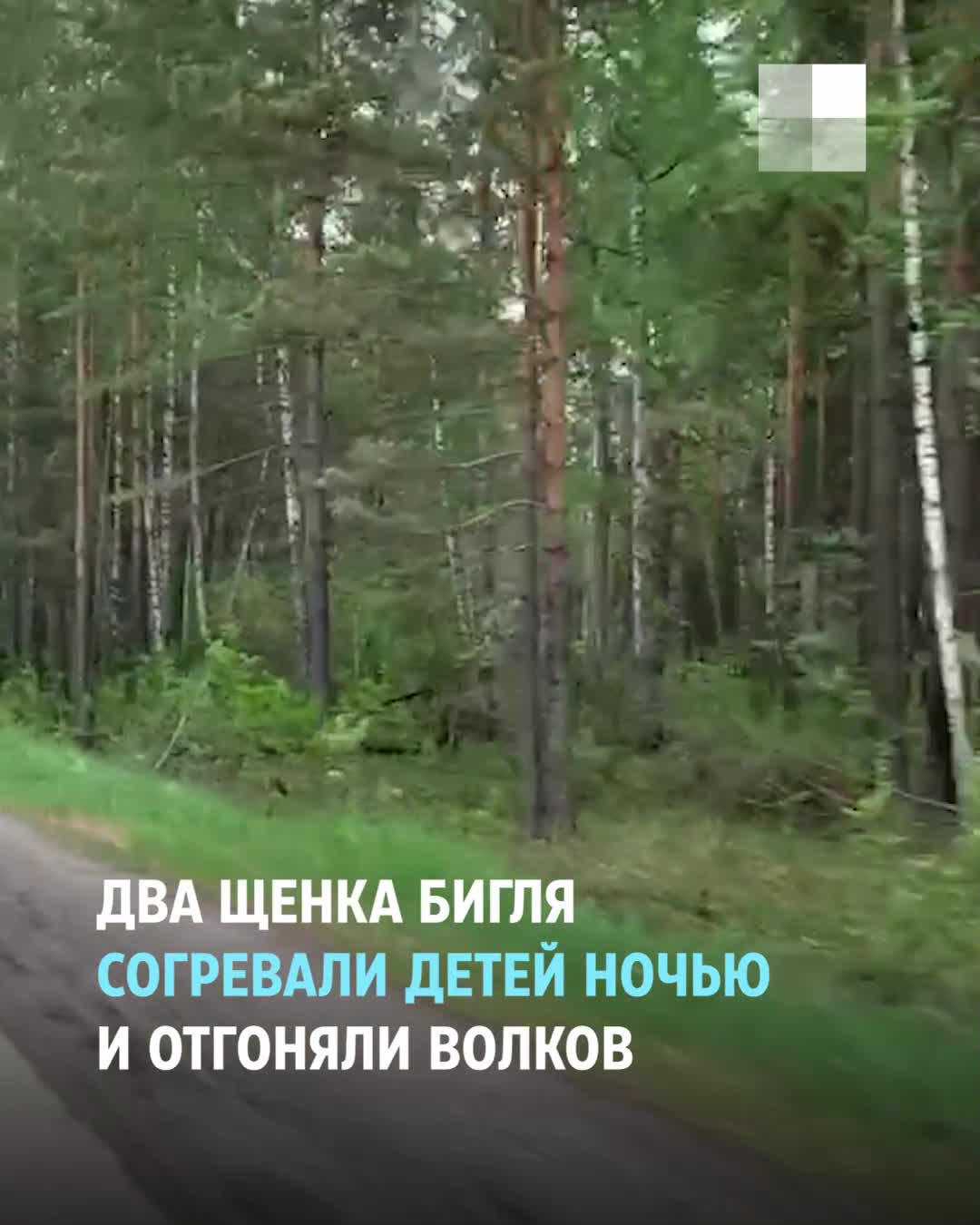 - Schoolgirl got Lost in the Forest and Agreed to Sex to Find the way Out! - paintball-blg.ru