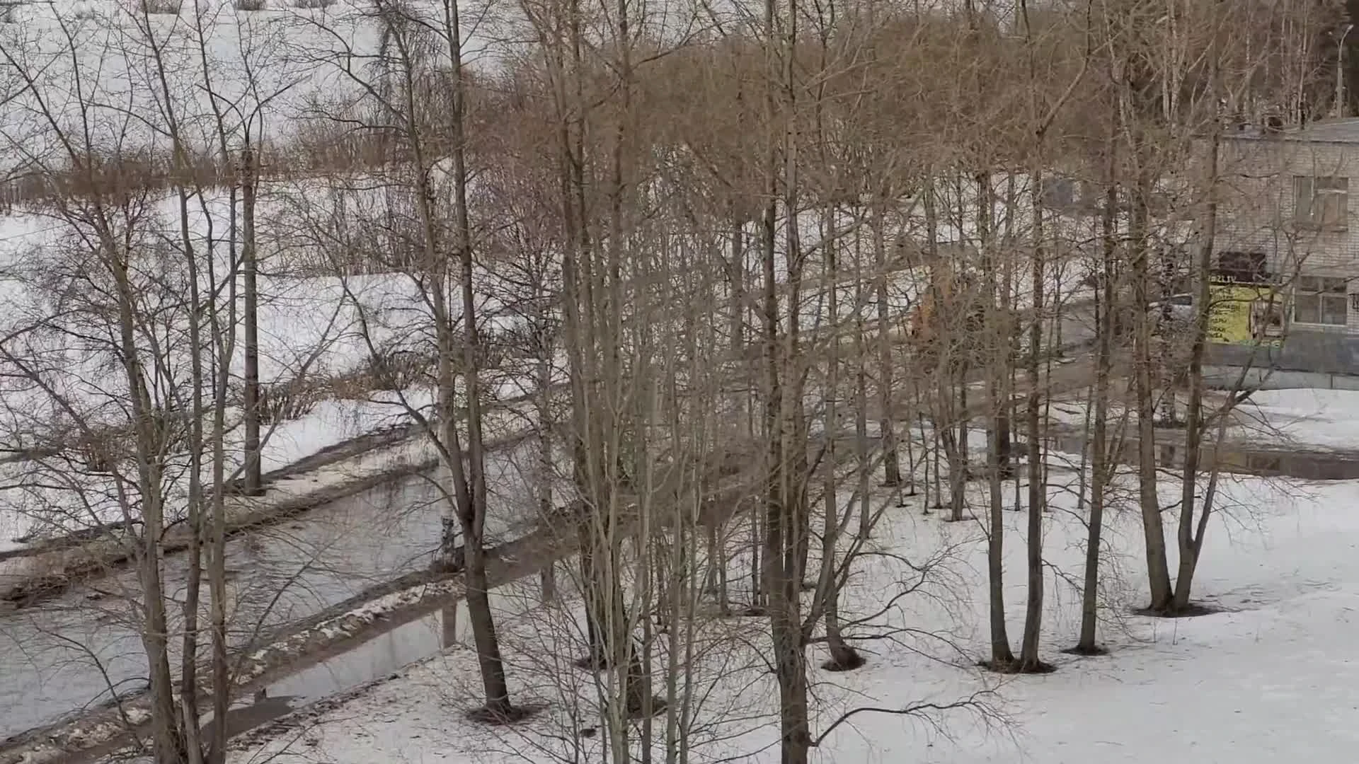 Архангельск затопило талыми водами: что об этом говорят в администрации -  13 апреля 2024 - 29.ру