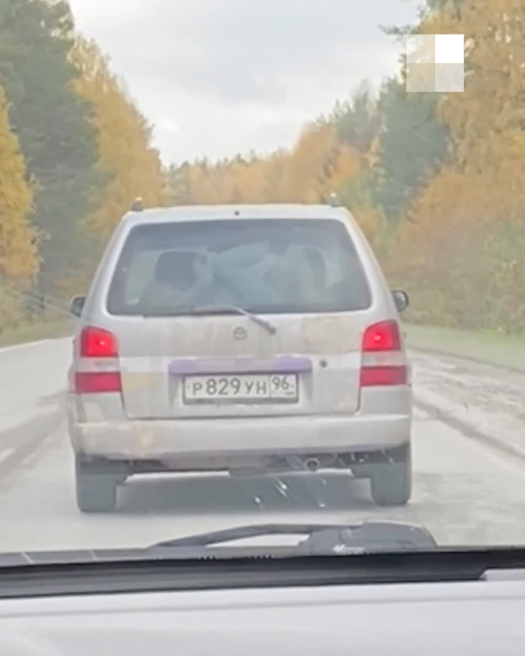 На уральской трассе очевидцы сняли на видео, как водитель вез ребенка на  задней полке автомобиля - 2 октября 2023 - Е1.ру