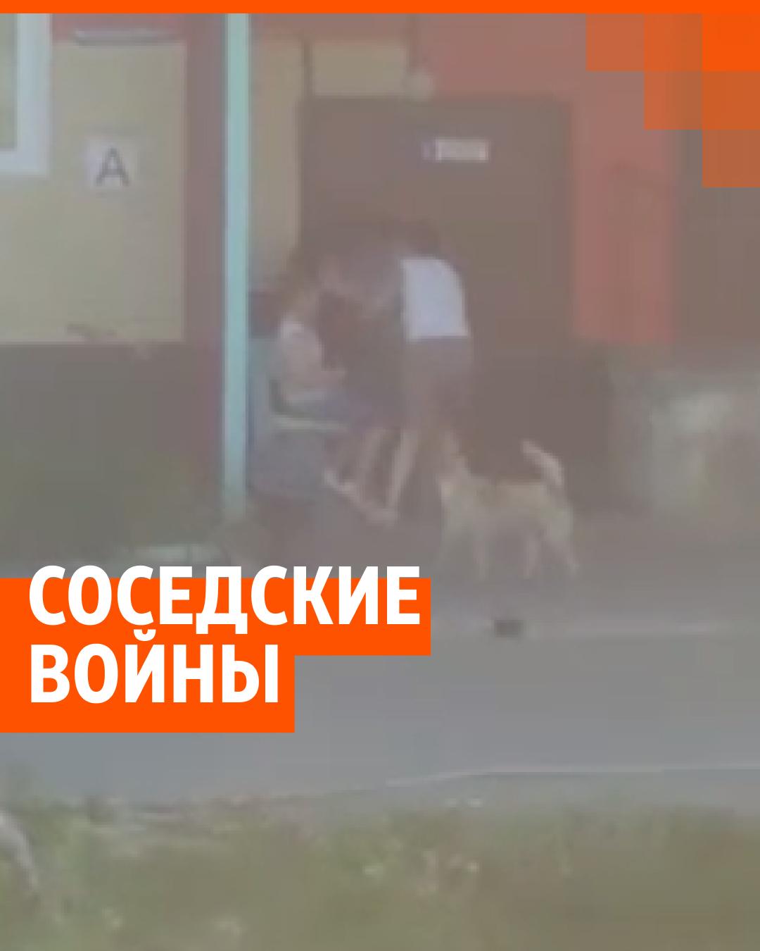 Многодетная мать-героиня держит в страхе целый район в уральском городе  Камышлове - 29 июля 2022 - 14.ru