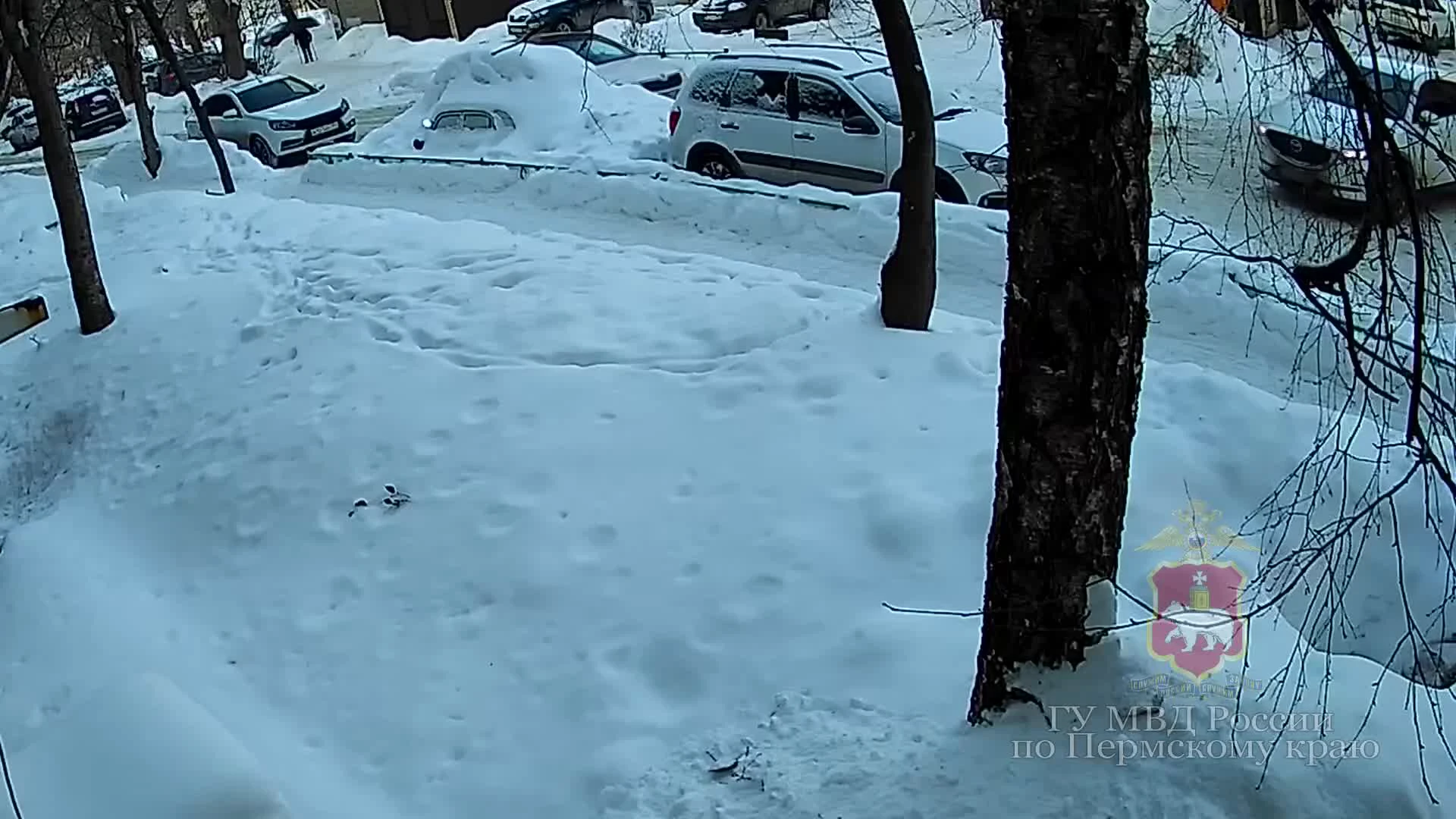 В Перми водитель сдавал назад и переехал пенсионерку, она скончалась через  несколько дней - 14 мая 2024 - 59.ру