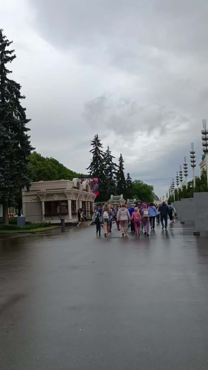 Проститутки метро ВДНХ