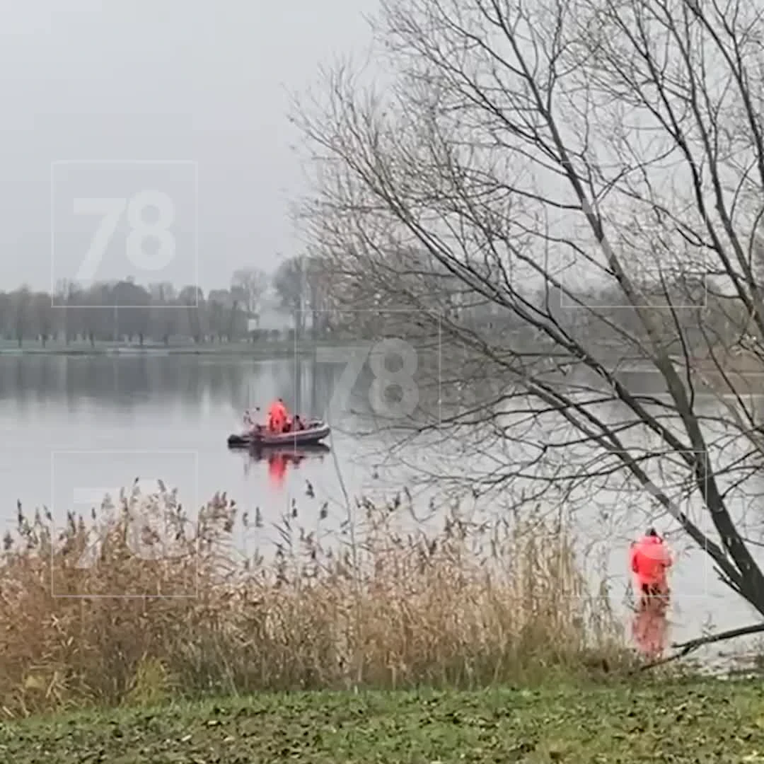 Из Ижорского пруда вытащили сумку с женскими ногами — Мегаполис