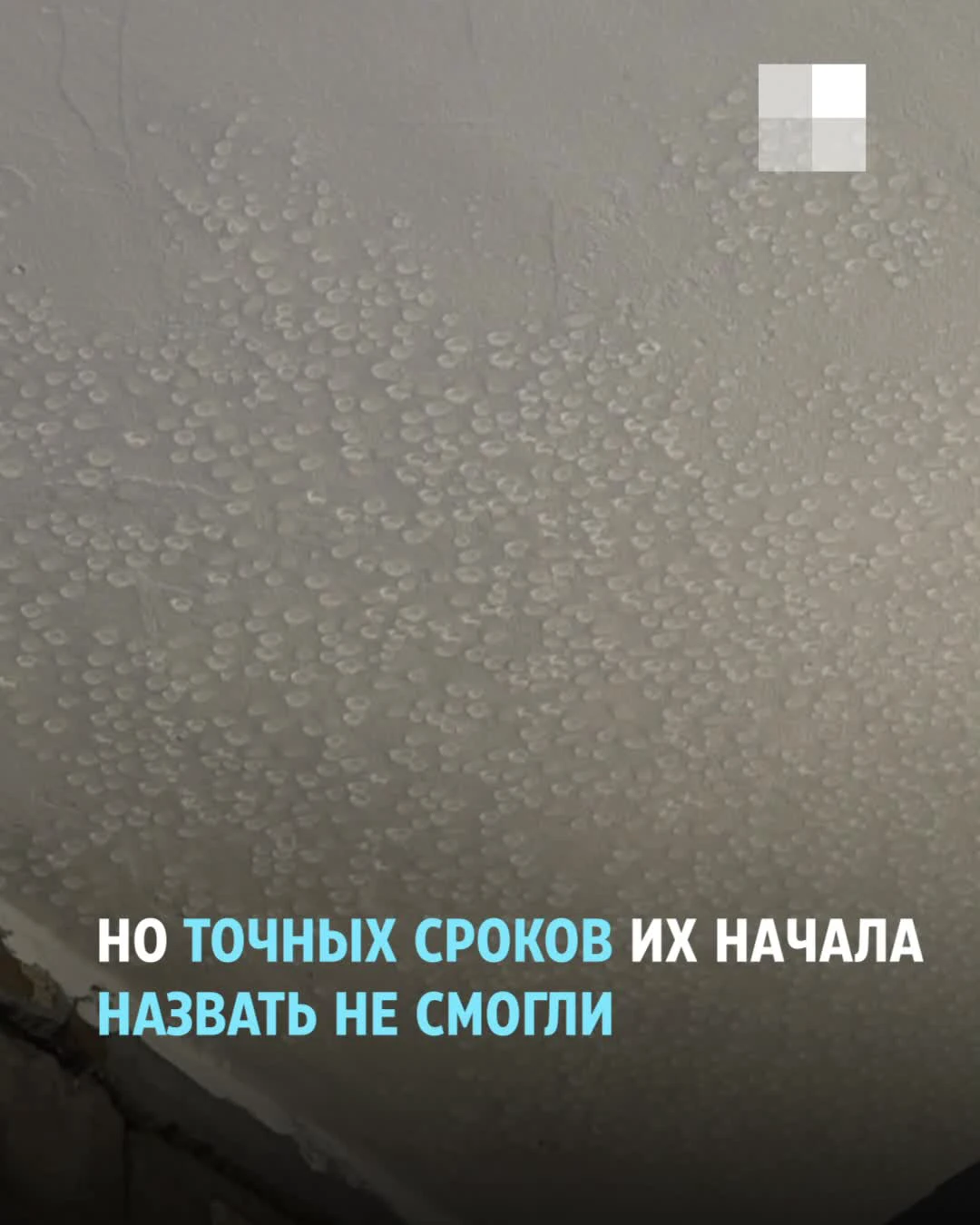 Проблема дома на Куйбышева, 1 в Нижнем Новгороде: на стенах растет черная  плесень - 6 октября 2021 - НН.ру