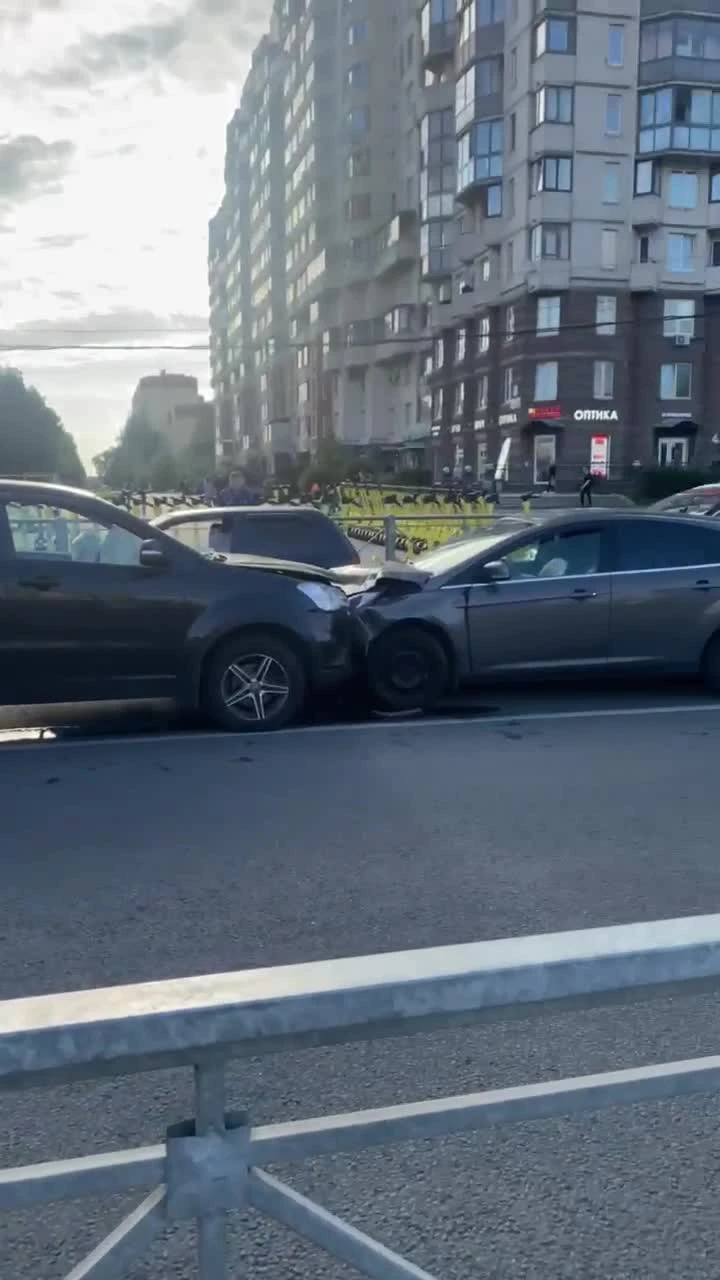 Голого «тарзана» из Петроградского района увезли в больницу — Мегаполис