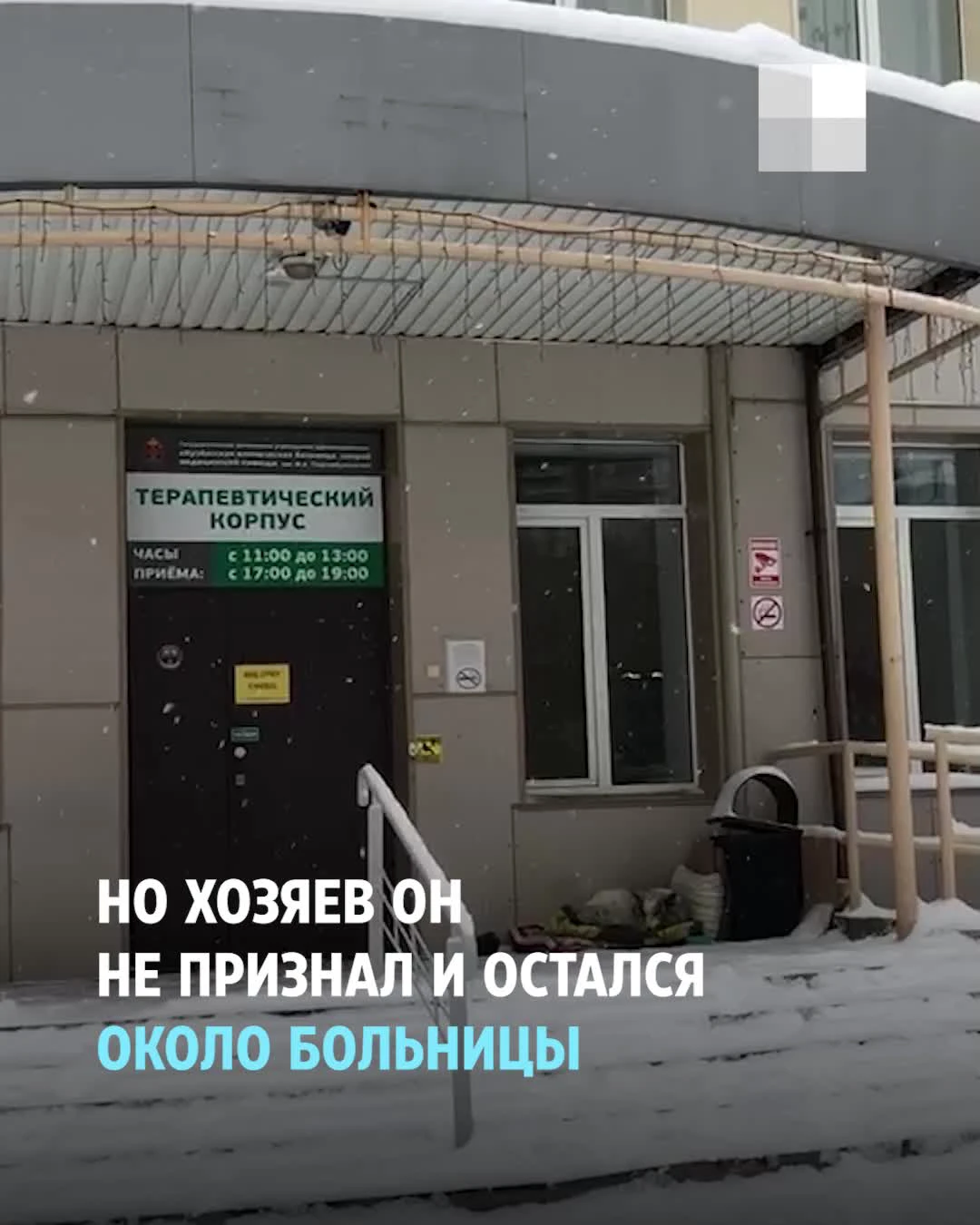 Как живет кемеровский Хатико, который стал городской легендой - 2 января  2023 - 45.ру