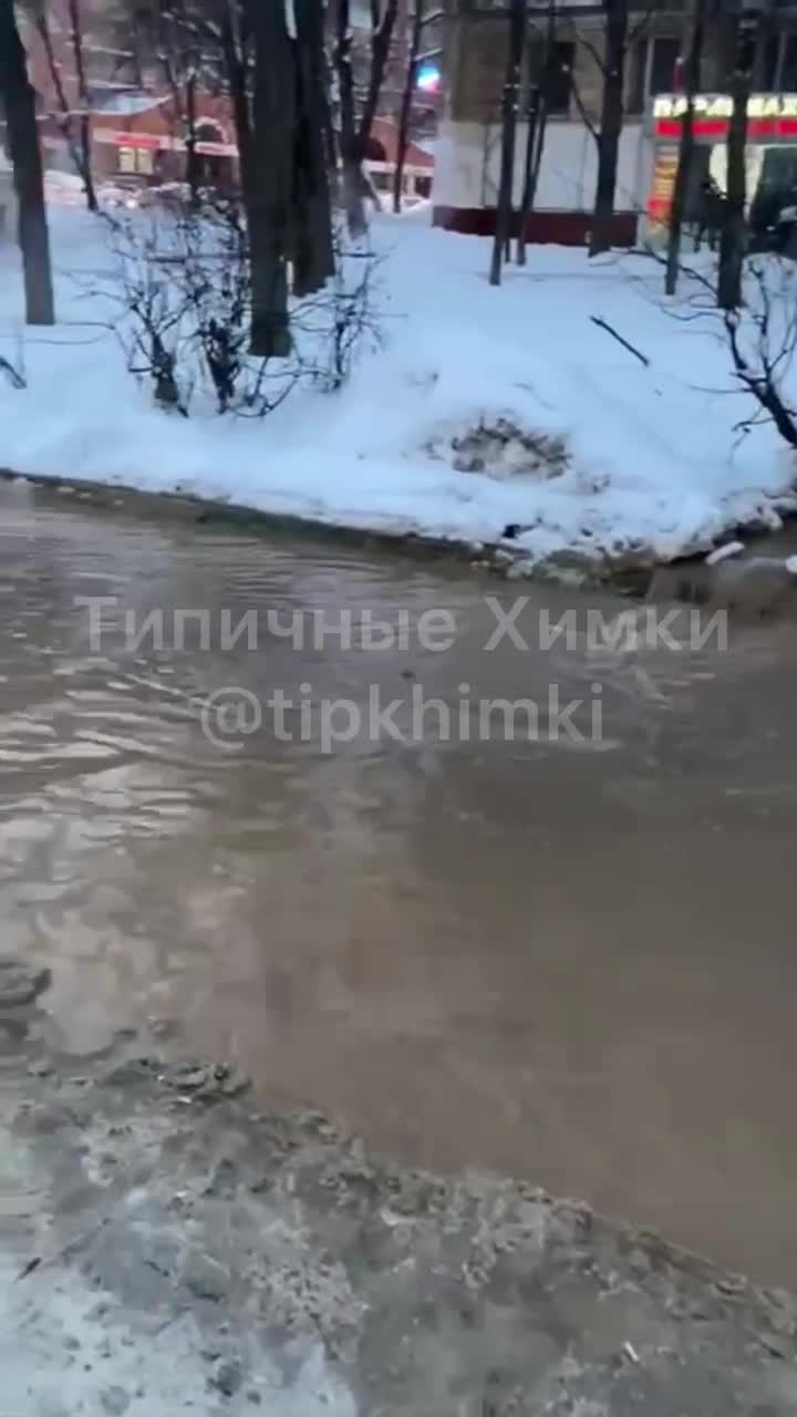 Проститутки в мкр. Сходня в Химках