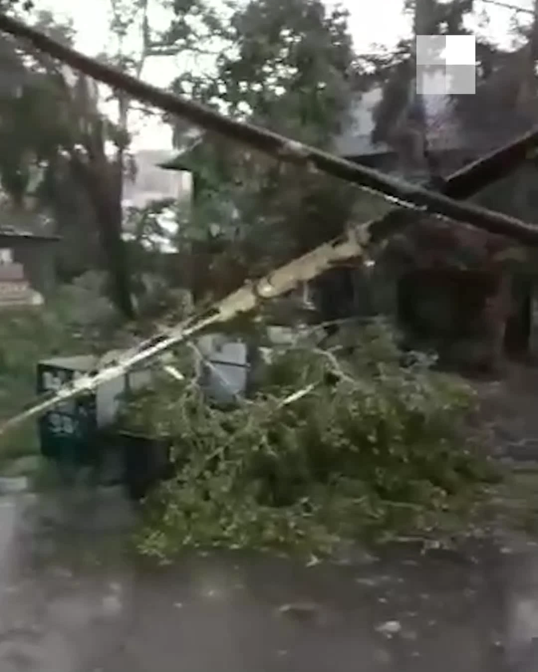 В Екатеринбурге огромный тополь упал и оставил дом без света, Вторчермет -  24 июня 2022 - Е1.ру