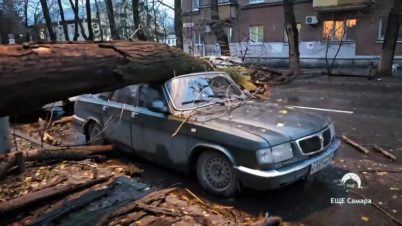 На улице Ерошевского дерево раздавило две машины и перекрыло дорогу - 10  ноября 2023 - 63.ру