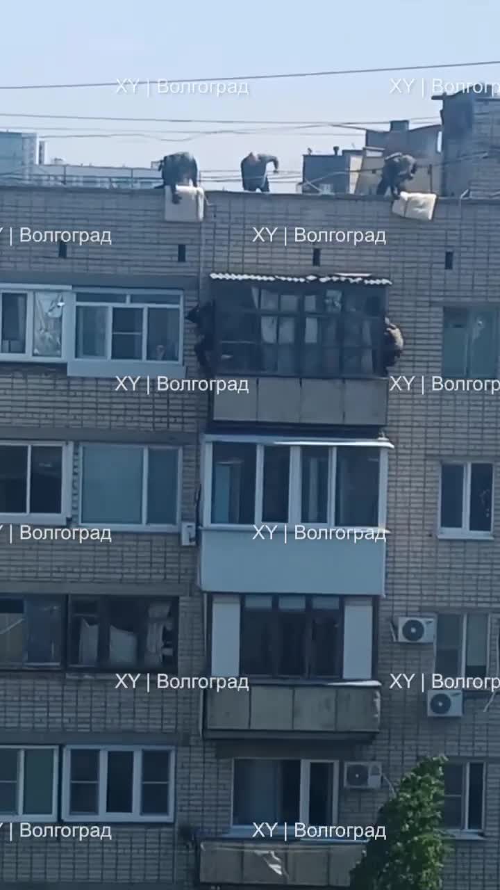 Появилось видео с места ЧП в Волгограде, где мужчина пытался зарезать своих  детей - 6 мая 2024 - V1.ру