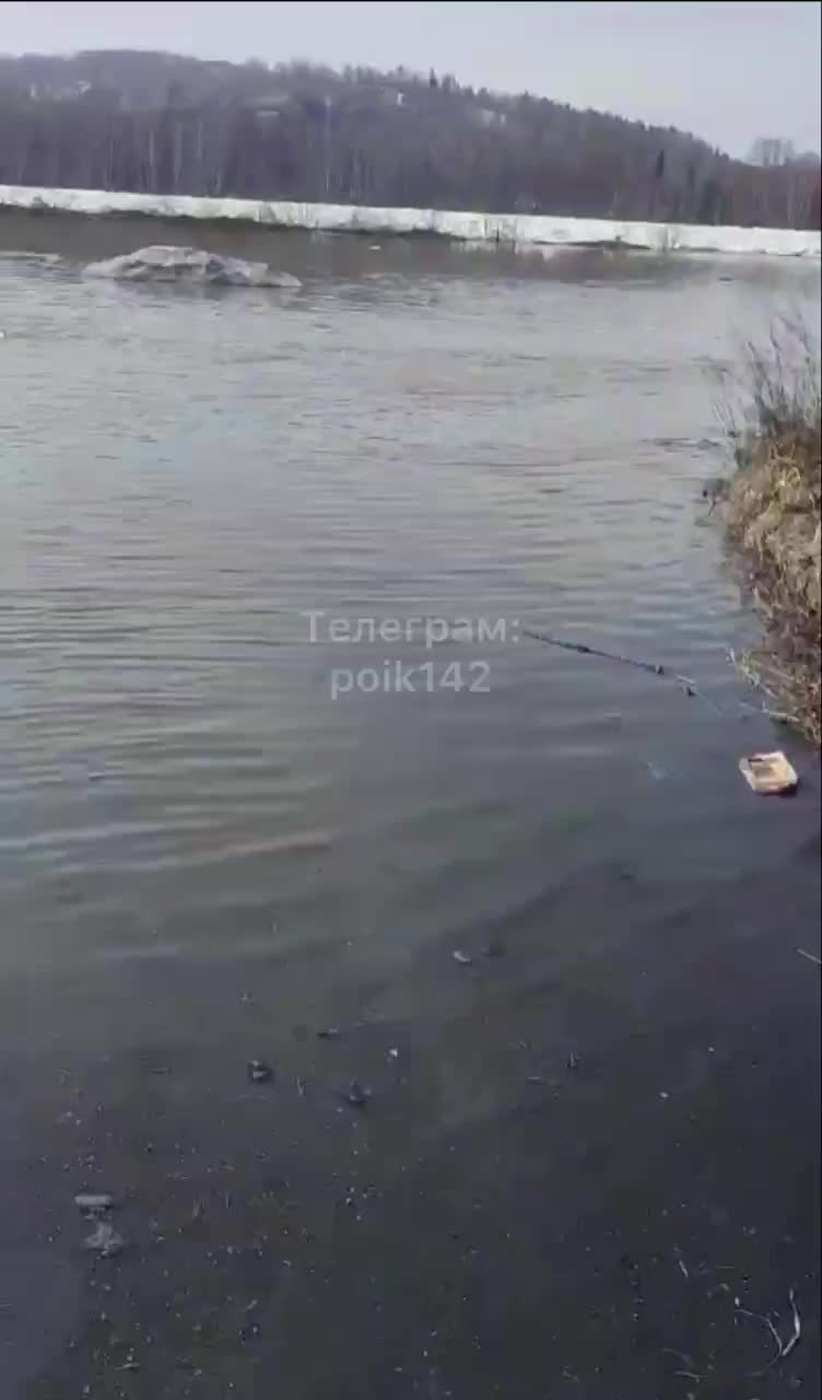 Несколько дачный поселков и жилых сел затопила воды из разлившейся реки  Кондома: подробности - 7 апреля 2024 - НГС42.ру