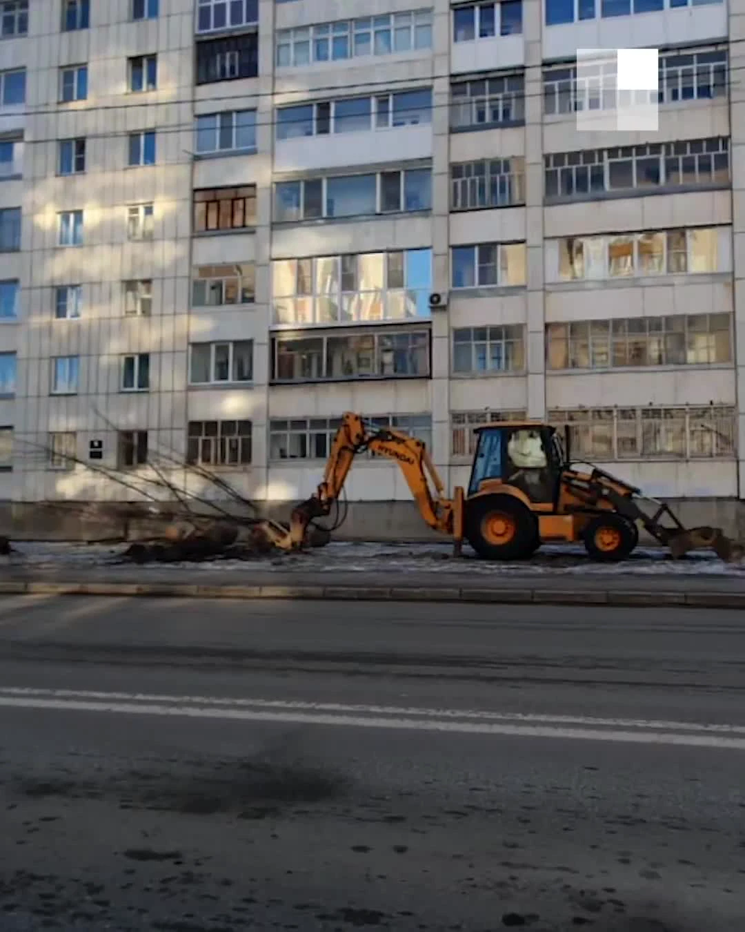 Власти Кургана расторгли контракт с москвичами, сажавшими деревья зимой 29  ноября 2022 года - 29 ноября 2022 - 45.ру