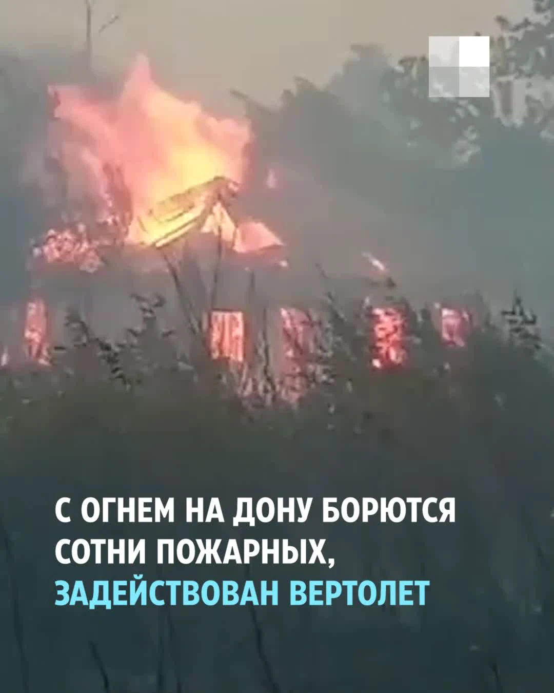 Площадь пожара в Усть-Донецком районе Ростовской области достигла 124  гектара, видео 16 августа 2022 - 16 августа 2022 - НГС24.ру