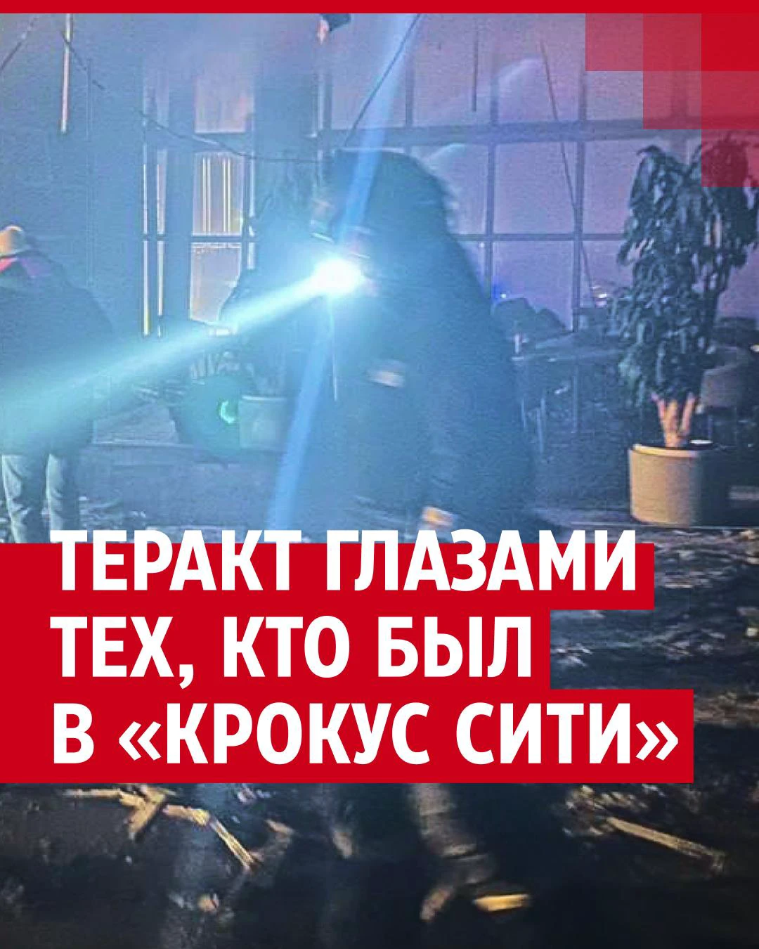 Где жили террористы до теракта в «Крокус Сити Холле», что известно о  Саидакрами Рачабализоде, которому отрезали ухо при задержании в Брянской  области, теракт в Крокусе новости - 27 марта 2024 - МСК1.ру