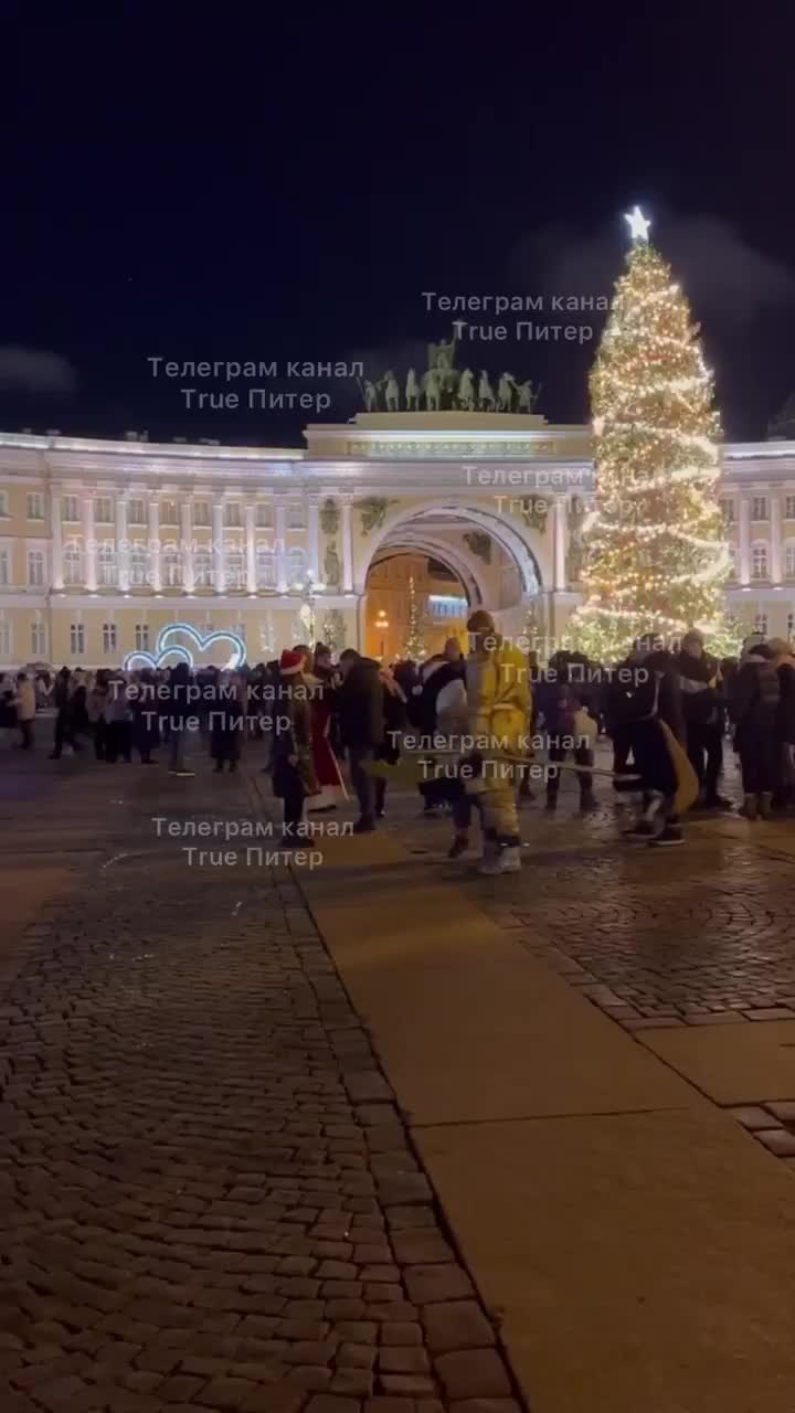 Появилось видео наезда коней на людей на Дворцовой площади. Полиция нашла и  забрала в отдел извозчицу, покинувшую место ДТП — Мегаполис