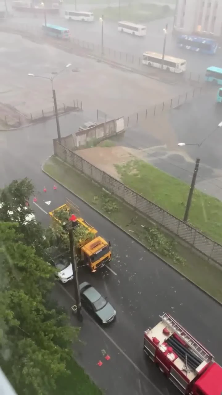 В Петербурге и окрестностях начался большой древопад: поваленные ветром  деревья превращаются в шлагбаумы и ломают машины — Мегаполис