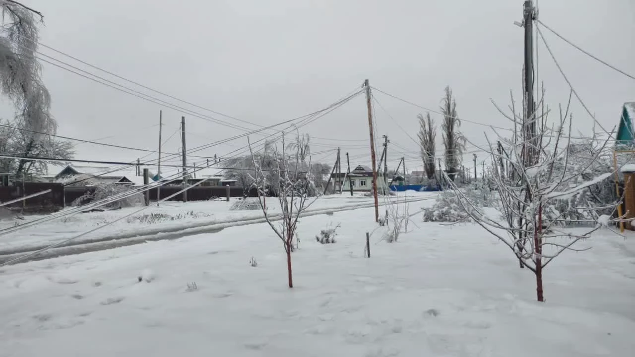 Волгоградцы показали ужас, охвативший город после ледяного дождя - 11  февраля 2024 - V1.ру