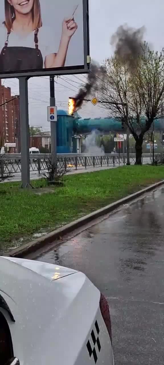 Столярный щит из массива дерева. Купить в Москве