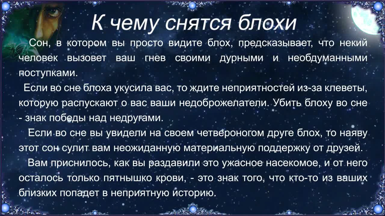 К чему снятся блохи во сне: толкование, сонник для женщин и мужчин ::  Гороскоп :: Клео.ру