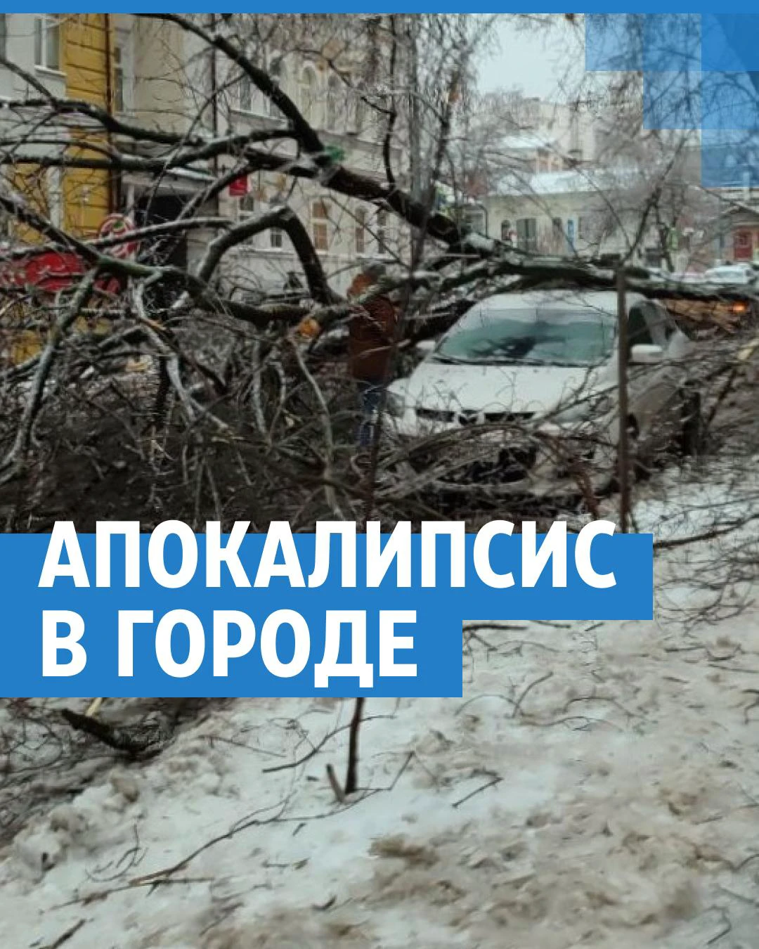 Ледяной дождь в Нижнем Новгороде: последствия и разрушения в городе, 23  ноября 2022 г. - 23 ноября 2022 - НН.ру