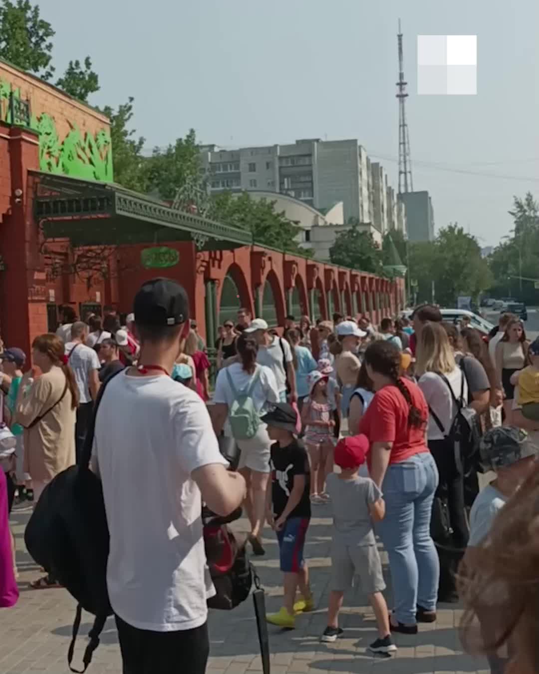 В Екатеринбурге экстренно эвакуировали посетителей зоопарка, что там  случилось - 5 июля 2023 - Е1.ру