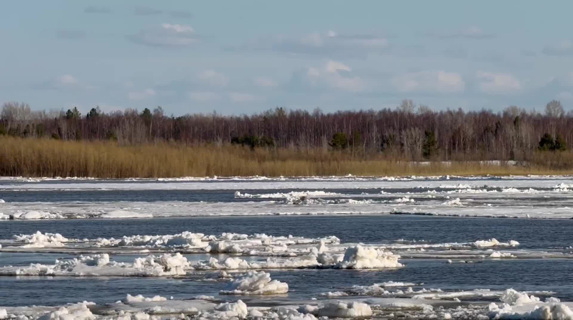 В Сургуте на Оби начался ледоход — видео - 11 мая 2024 - 86.ру