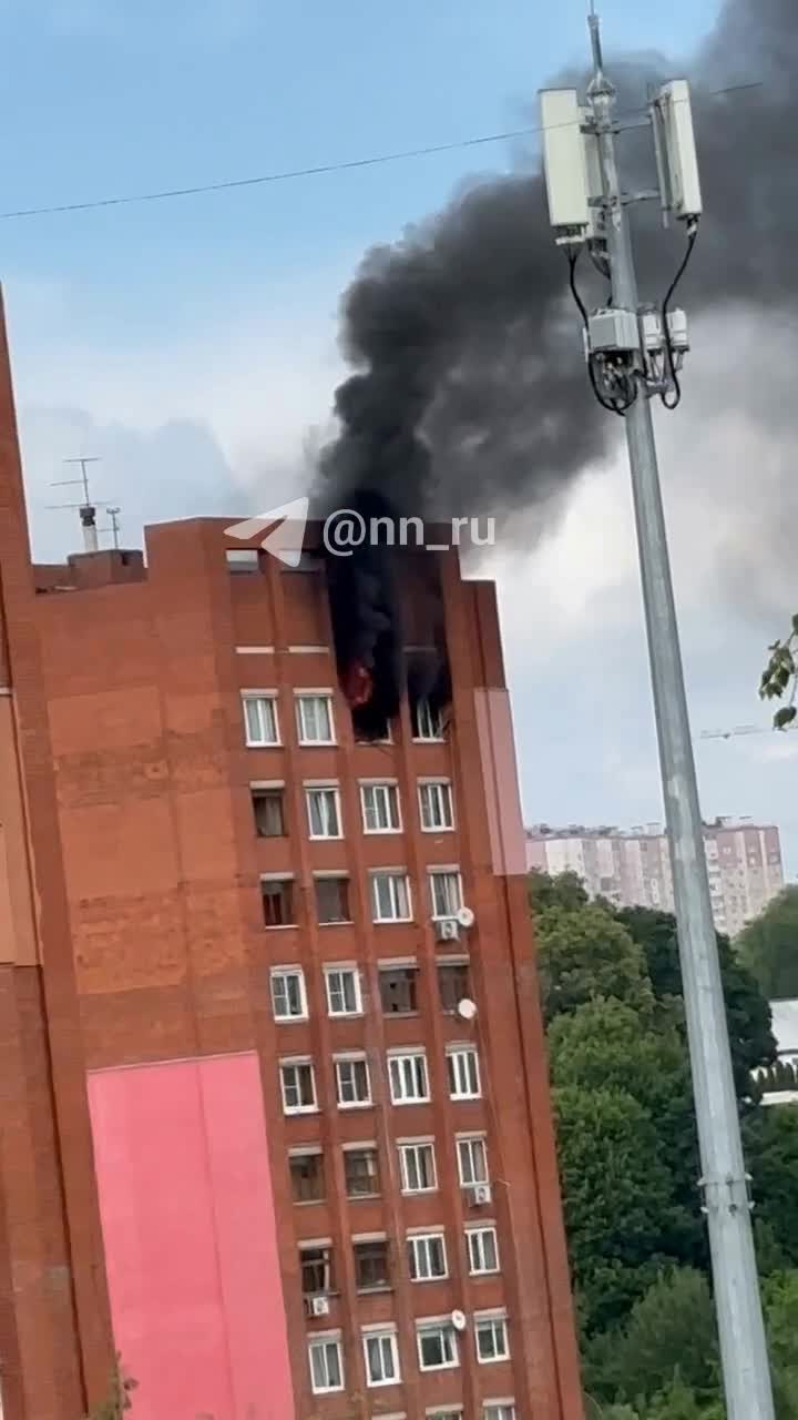 Пожар по улице Надежды Сусловой в Нижнем Новгороде: подробности, фото,  видео - 5 июня 2024 - НН.ру