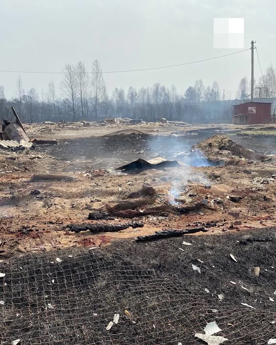 Жители СНТ «Малиновка» в Кургане смотрят, что осталось от домов 29 апреля  2022 - 29 апреля 2022 - 45.ру