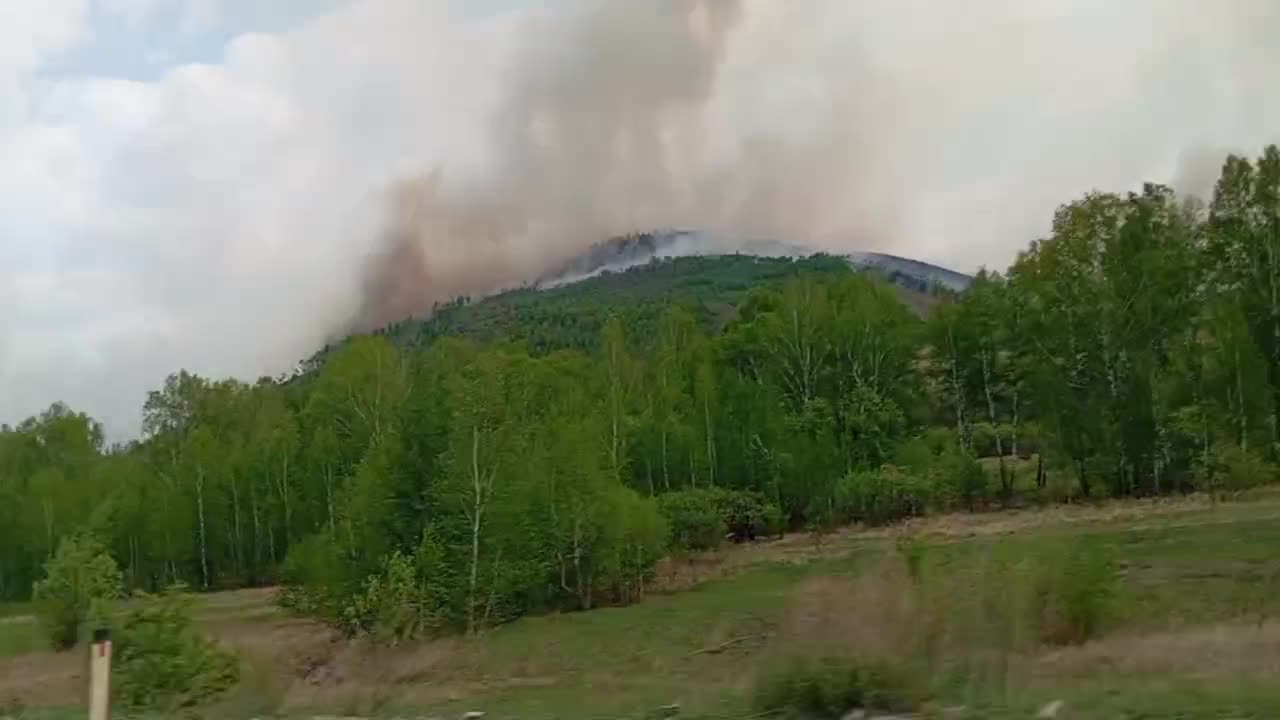 Лес горит в шести километрах от села Калга в Забайкальском крае: видео - 31  мая 2024 - ЧИТА.ру